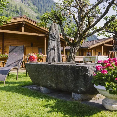 Apartment Kombi Edelweiss-enzian By Interhome Mayrhofen