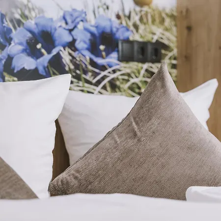 Apartment Kombi Edelweiss-enzian By Interhome Mayrhofen
